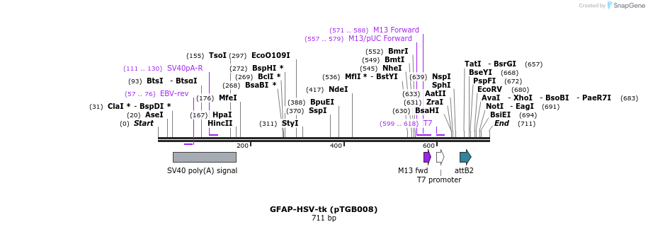 150655_map