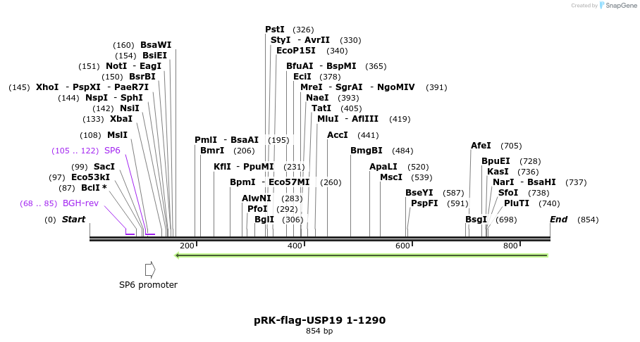 150656_map