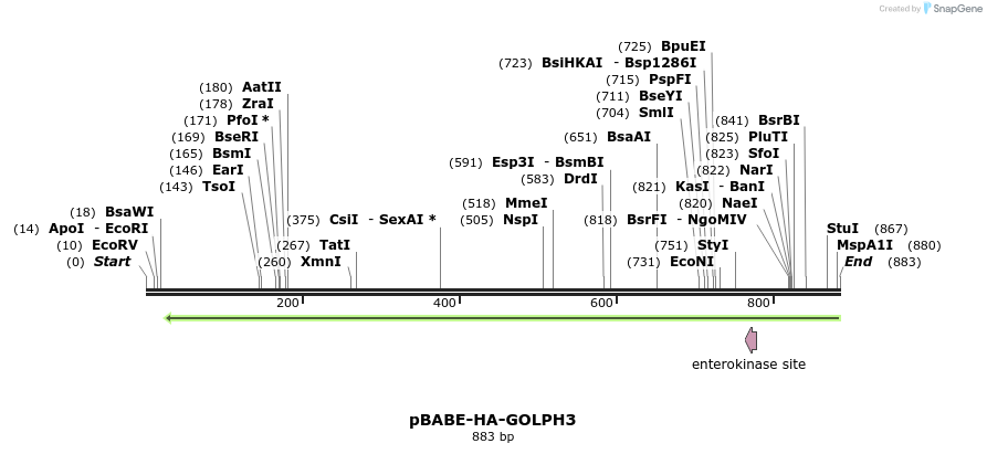 150657_map