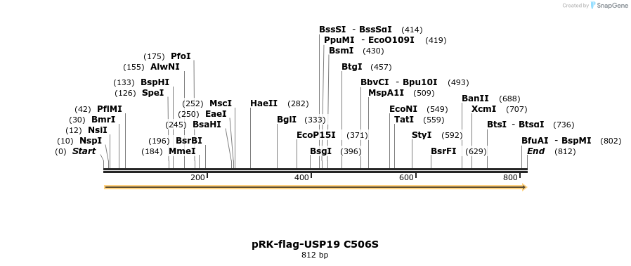 150658_map