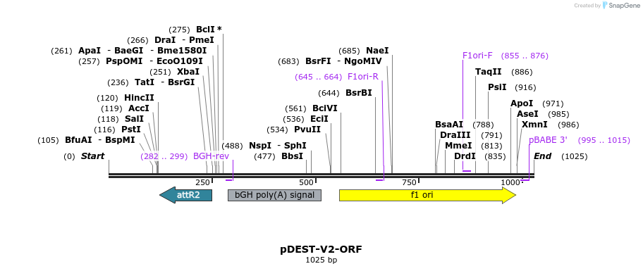 150662_map