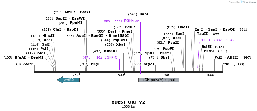 150665_map