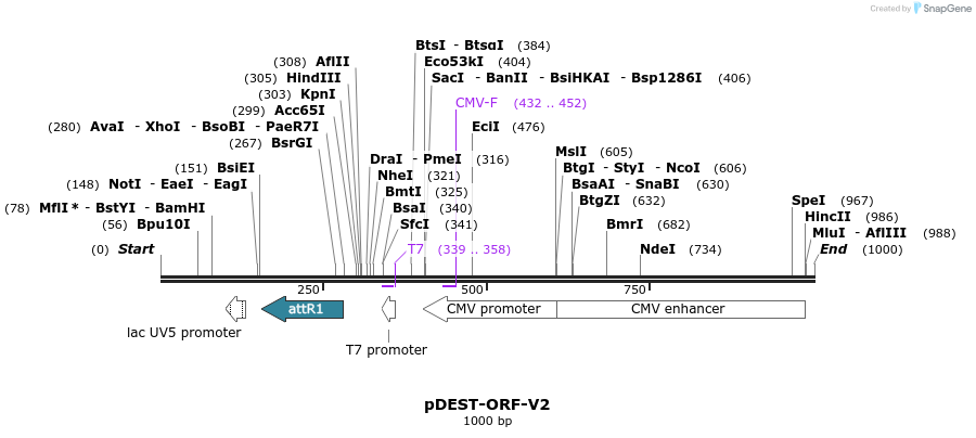 150667_map