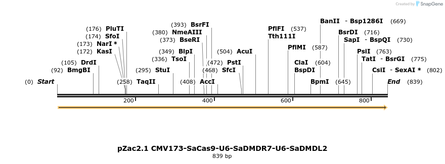 150672_map