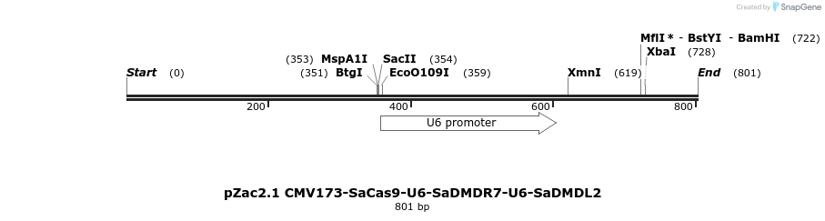 150673_map