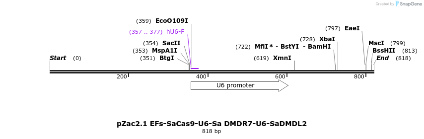 150675_map