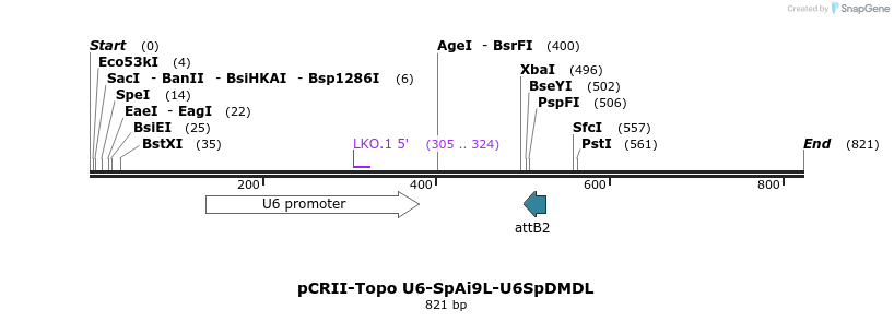 150678_map