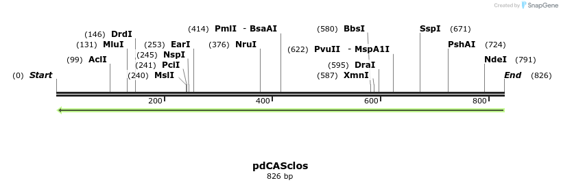 150681_map