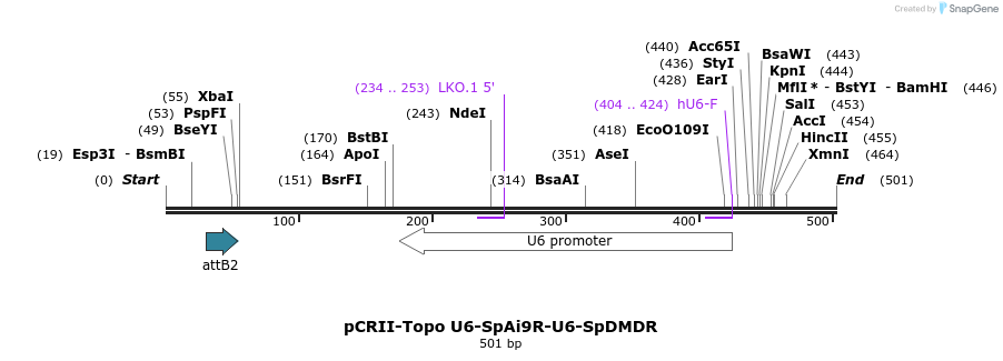 150682_map