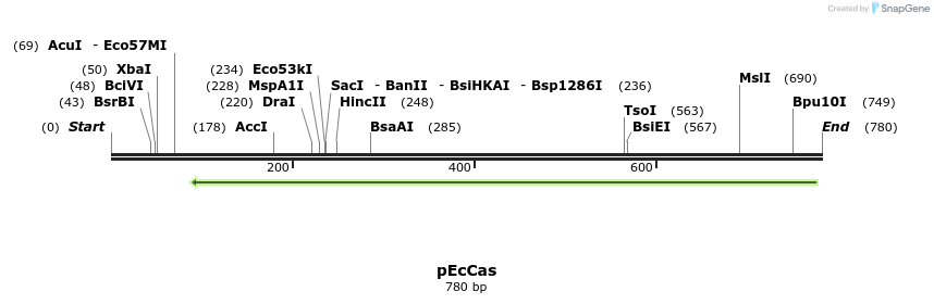 150685_map
