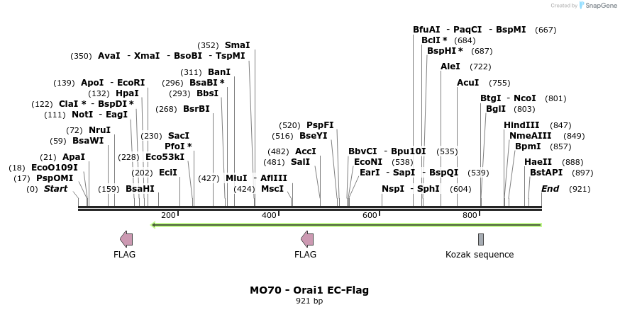 150688_map