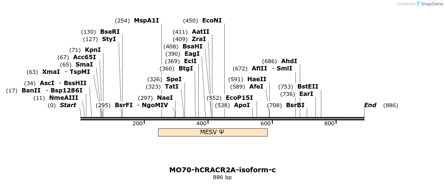 150690_map