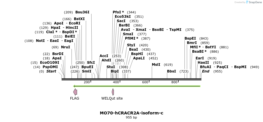150691_map