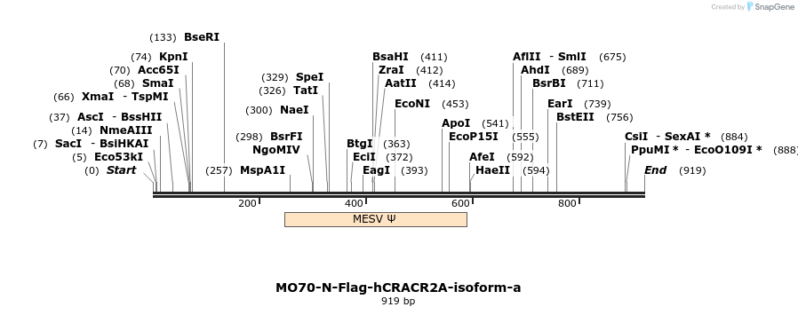 150692_map