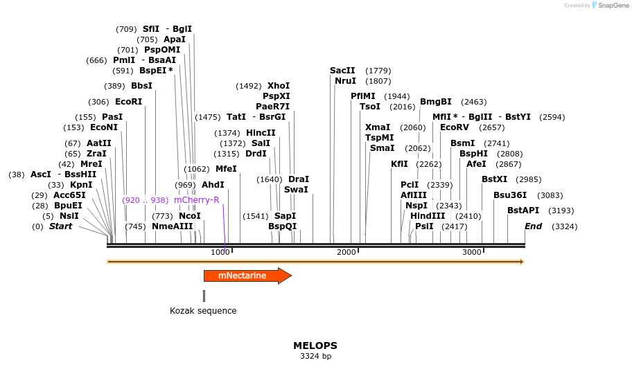 150693_map