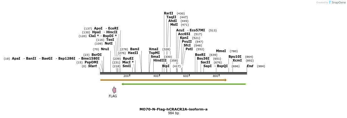 150694_map