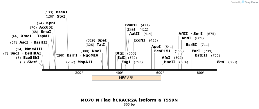 150695_map