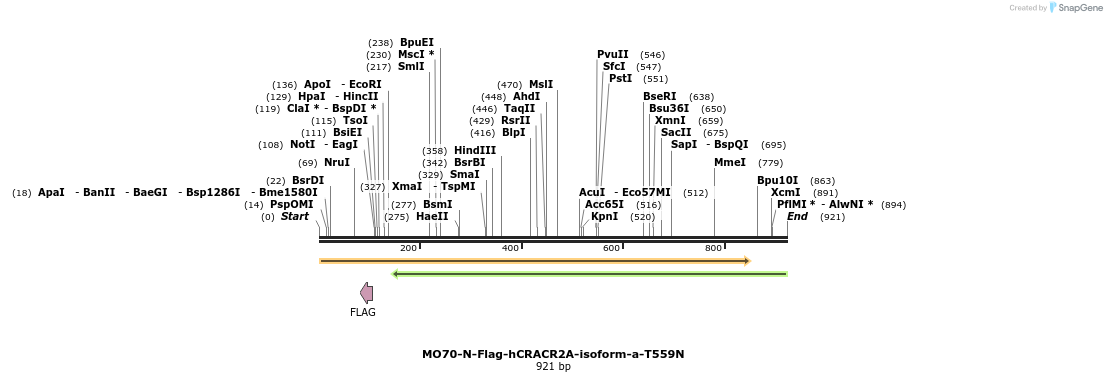 150696_map
