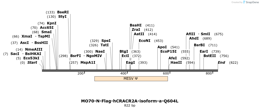 150697_map