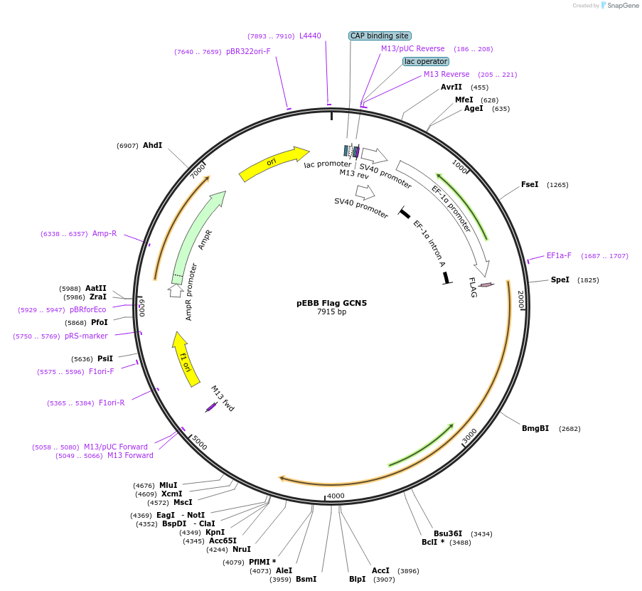 150701_map