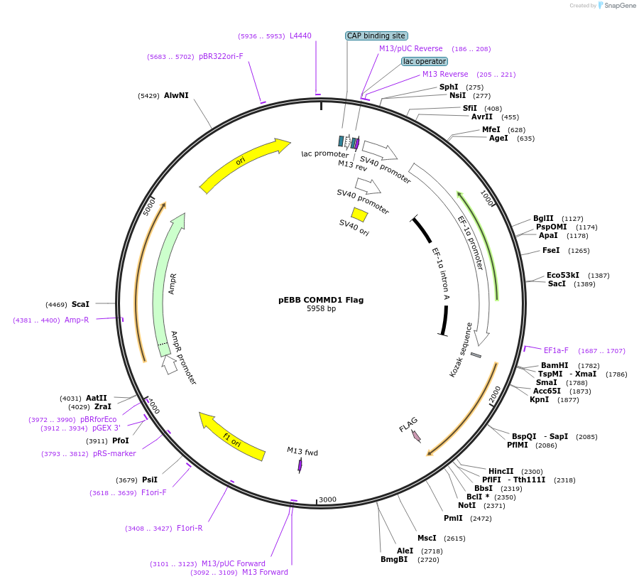 150703_map