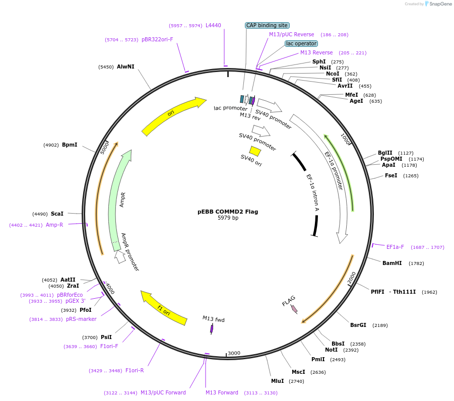 150704_map