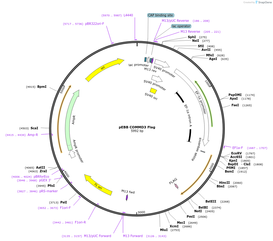 150705_map