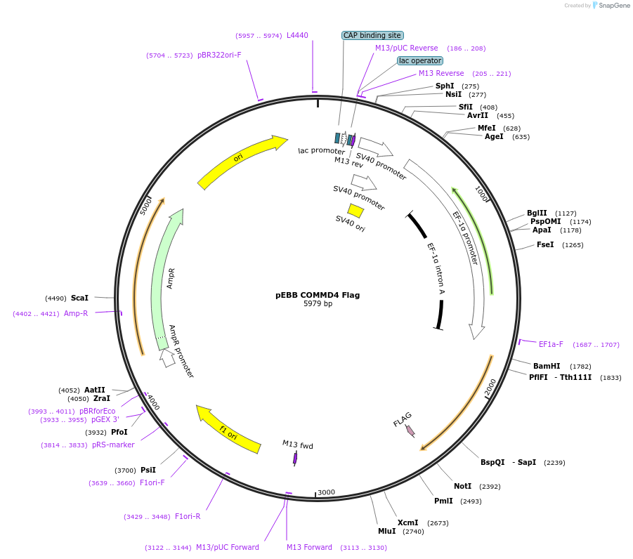 150706_map