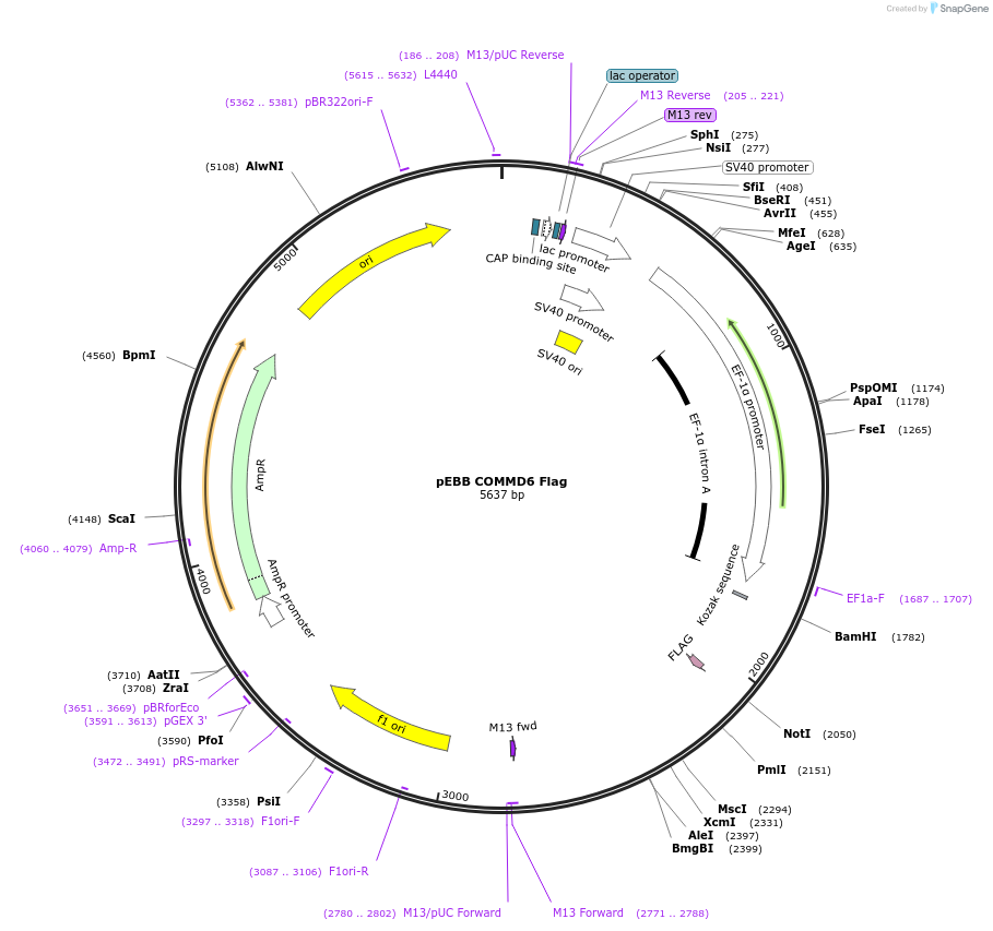 150708_map