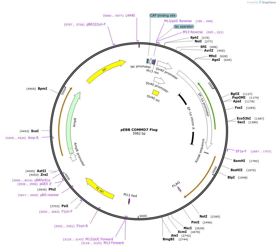 150709_map