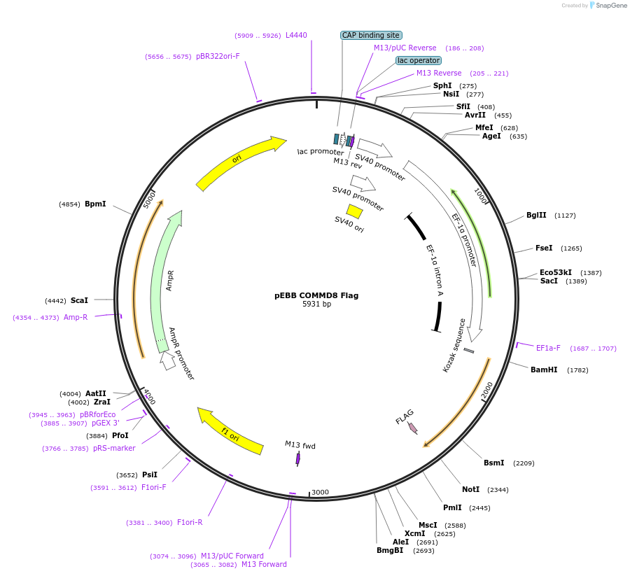 150710_map