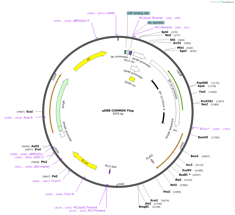 150711_map