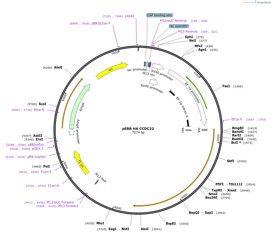 150713_map