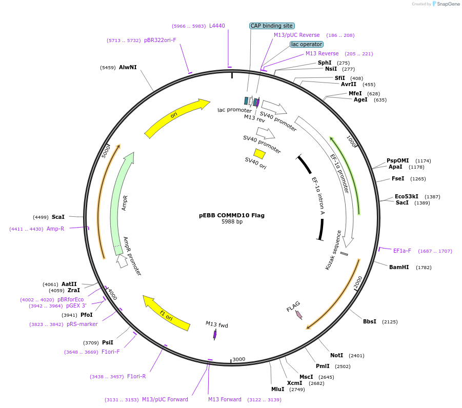 150714_map