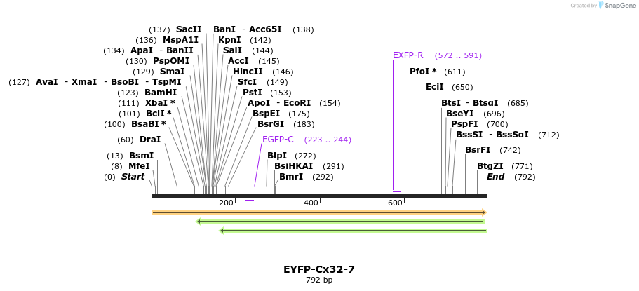 150716_map