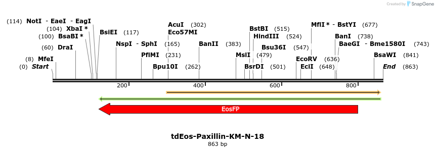 150729_map