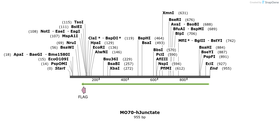 150730_map
