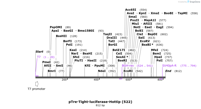 150734_map