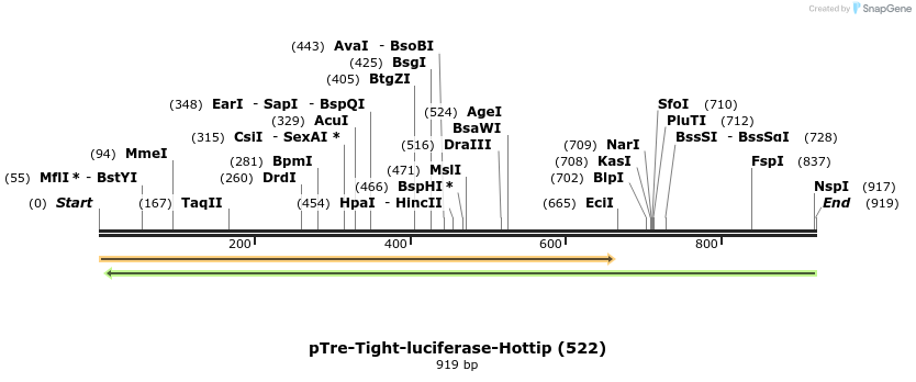 150736_map