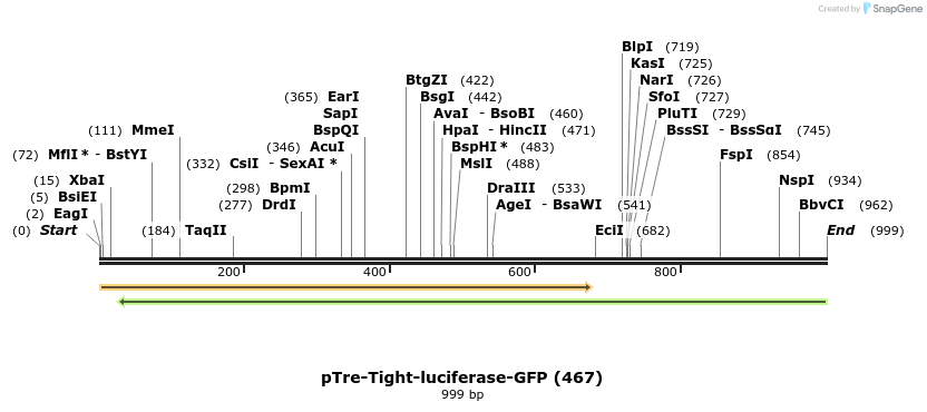 150740_map