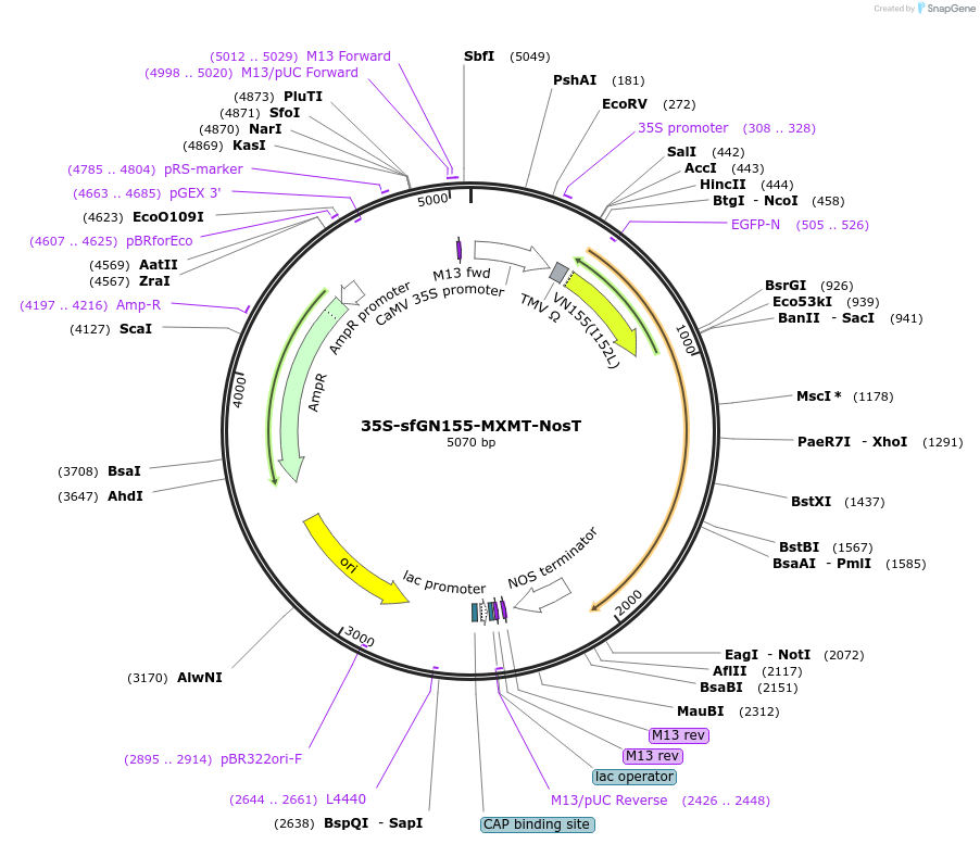 150743_map
