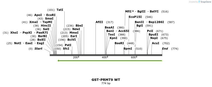 150750_map