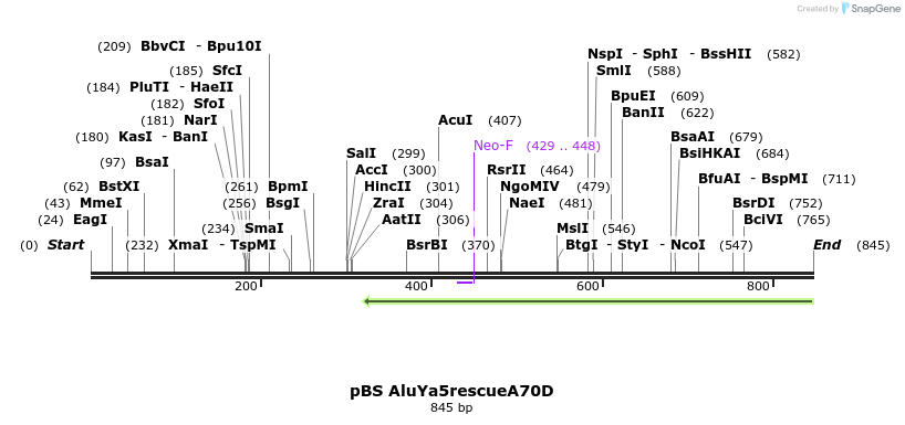 150757_map