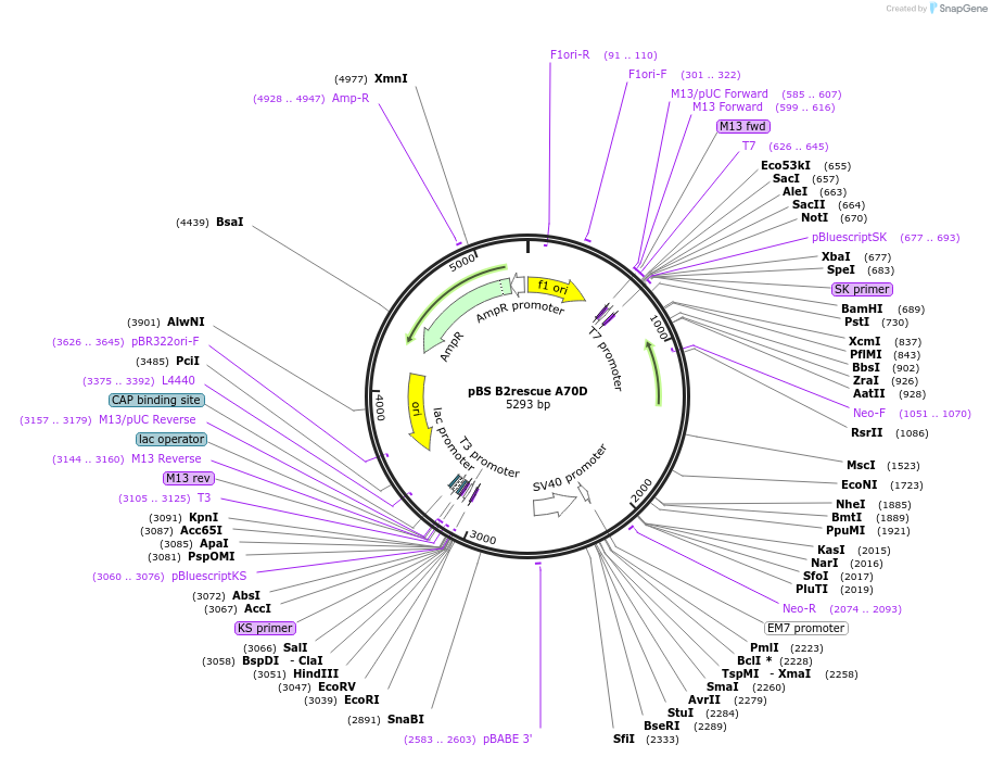 150761_map