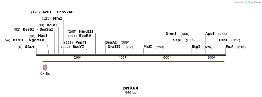 150763_map