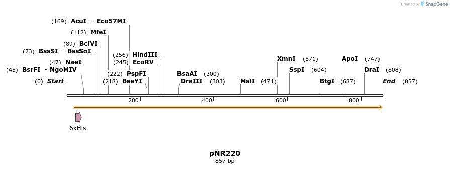 150766_map