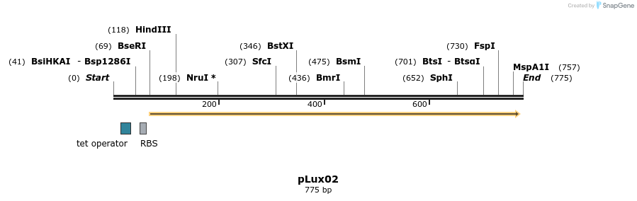 150767_map