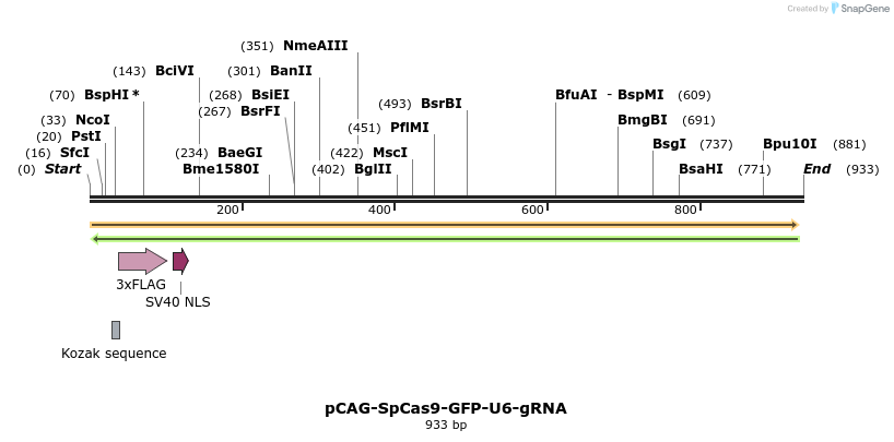 150776_map