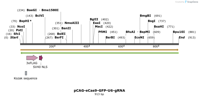150779_map