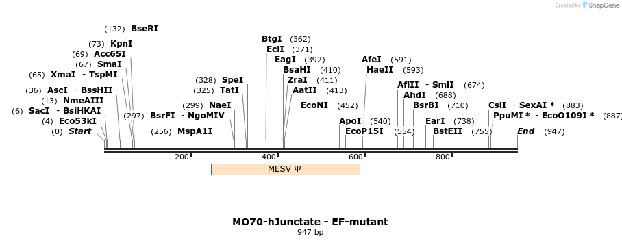 150781_map